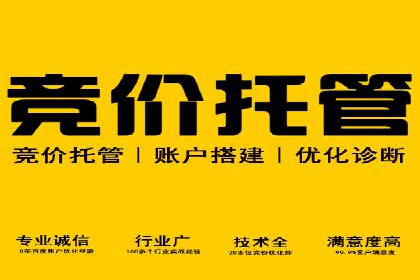 百度推广排名案例解读：旅游行业如何运用其扩大影响力